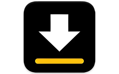 Video Downloader 安卓版