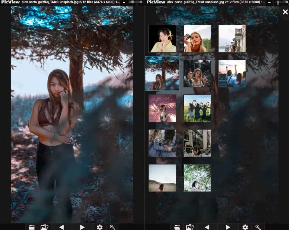 图片浏览工具 PicView 绿色版,图片浏览,第1张