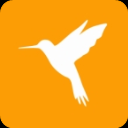 黄鸟抓包高级版