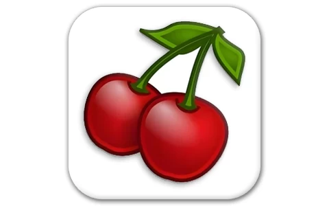CherryTree 便携版