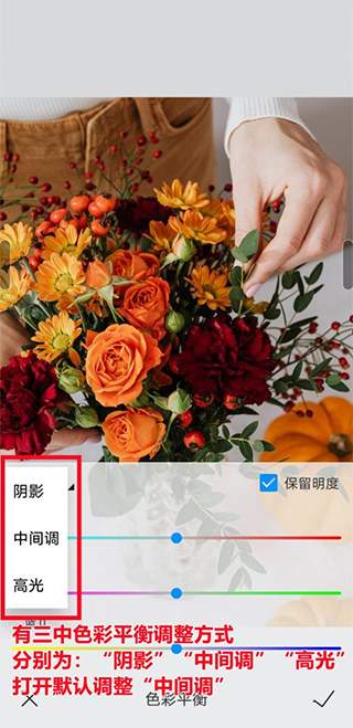熊猫绘画社区版,图形设计,第17张 熊猫绘画社区版,图形设计,第17张