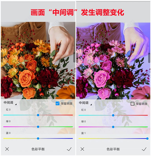 熊猫绘画社区版,图形设计,第18张 熊猫绘画社区版,图形设计,第18张