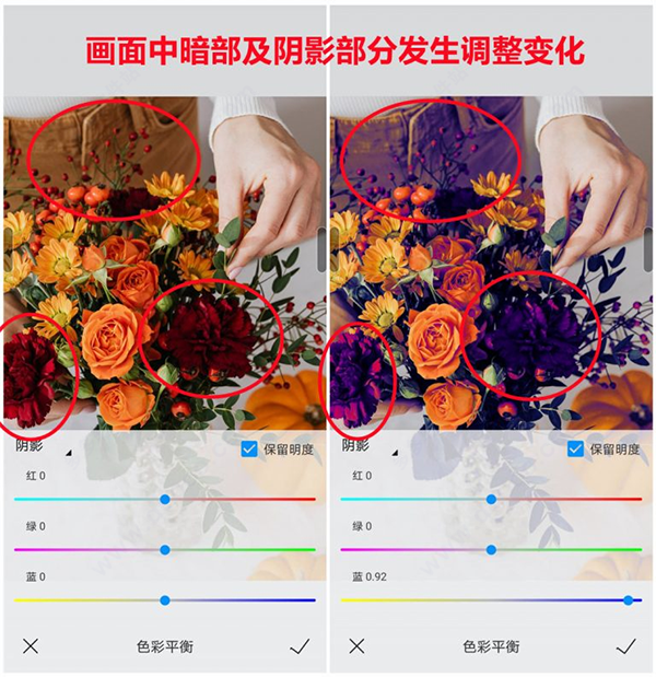 熊猫绘画社区版,图形设计,第19张 熊猫绘画社区版,图形设计,第19张