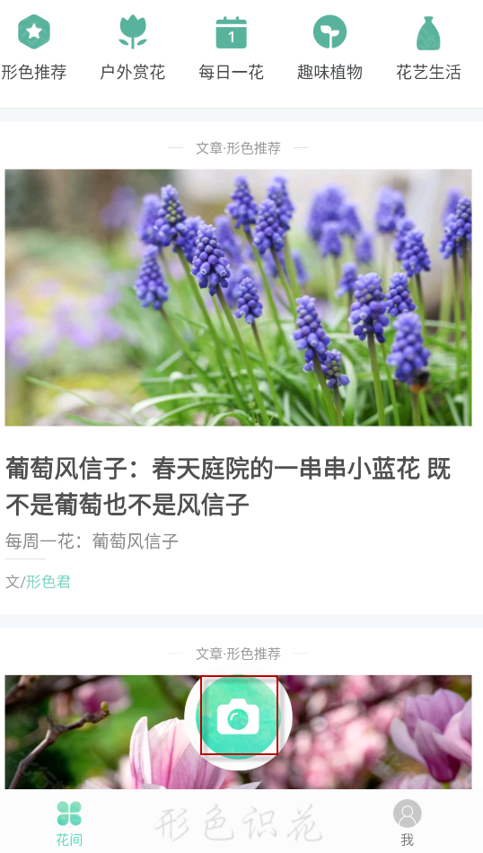 形色,形色,其他应用,第1张