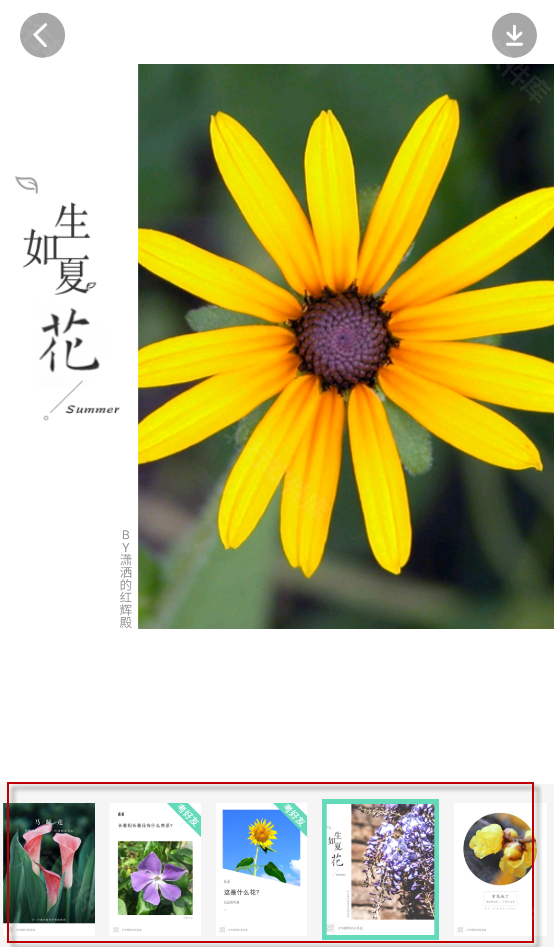 形色,其他应用,第5张