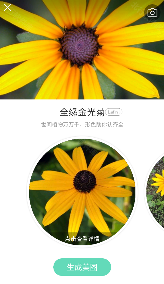 形色,其他应用,第4张