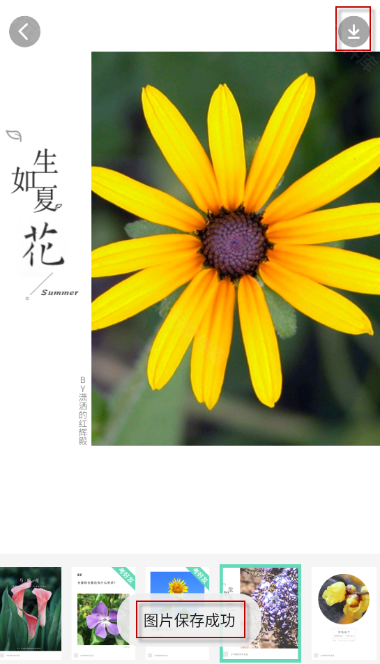 形色,其他应用,第6张