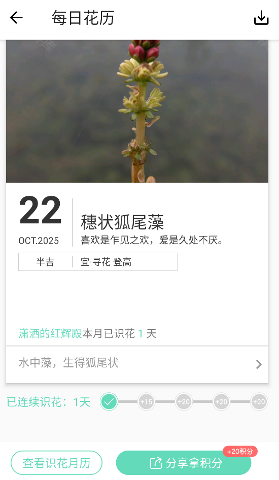 形色,其他应用,第10张