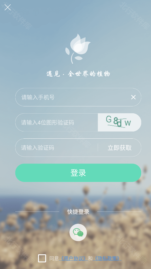 形色,其他应用,第13张