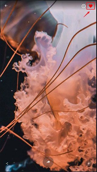 4KWallpapers 安卓版,桌面工具,第2张