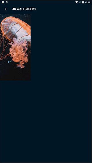 4KWallpapers 安卓版,桌面工具,第5张