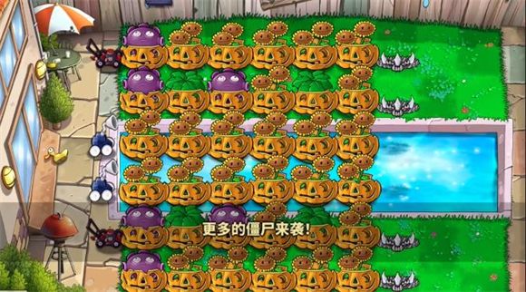 植物娘大战僵尸2025 安卓版,安卓手游,第3张