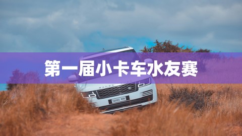 第一届小卡车水友赛,第一届小卡车水友赛,LOL,虎牙卡尔,第1张
