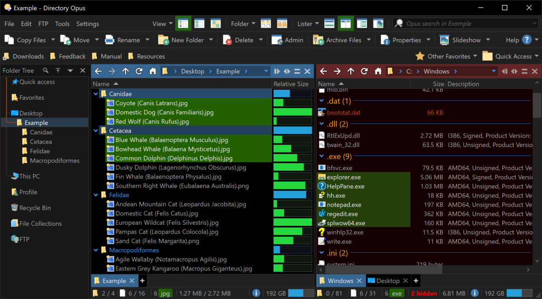 1 月特惠!增强型文件管理器 Directory Opus 13 限时 85 折,买断只要 160.65 元,正版软件促销活动,第5张 1 月特惠!增强型文件管理器 Directory Opus 13 限时 85 折,买断只要 160.65 元,正版软件促销活动,第5张