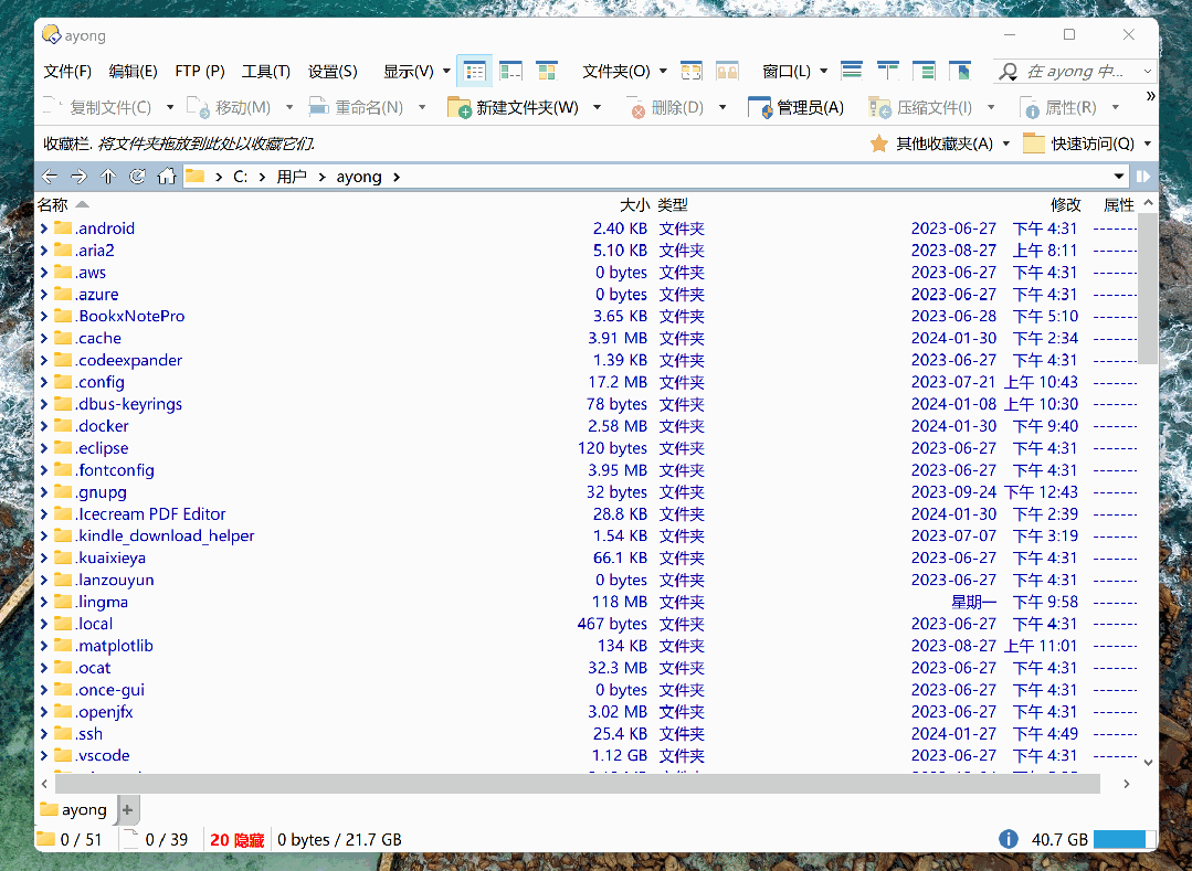 1 月特惠!增强型文件管理器 Directory Opus 13 限时 85 折,买断只要 160.65 元,正版软件促销活动,第6张 1 月特惠!增强型文件管理器 Directory Opus 13 限时 85 折,买断只要 160.65 元,正版软件促销活动,第6张