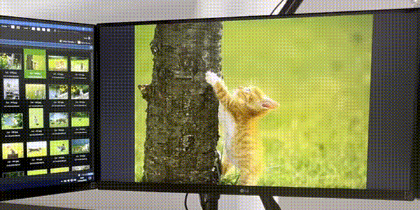 1 月特惠!增强型文件管理器 Directory Opus 13 限时 85 折,买断只要 160.65 元,正版软件促销活动,第12张 1 月特惠!增强型文件管理器 Directory Opus 13 限时 85 折,买断只要 160.65 元,正版软件促销活动,第12张