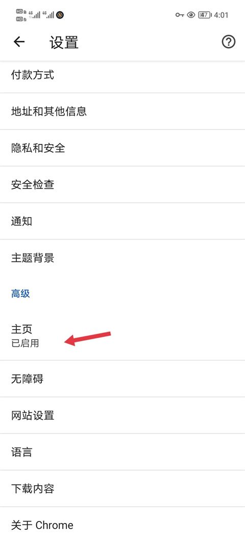 谷歌浏览器 Chrome 安卓版,浏览器,第3张
