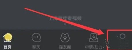 哈啰街猫,哈啰街猫app12,生活服务,第1张