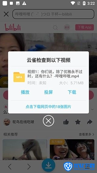 云雀视频下载助手,下载工具,第2张